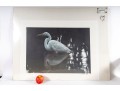 Carl Brenders And Robert Bateman Signed Lithographs Depicting Egrets**