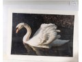 Robert Bateman And Carl Brenders Signed Lithographs Depicting Swans