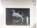 Carl Brenders And Robert Bateman Signed Lithographs Depicting Egrets**