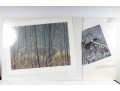 Robert Bateman And Michael Sieve Signed Lithographs Depicting Whitetailed Deer