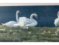 Robert Bateman And Carl Brenders Signed Lithographs Depicting Swans