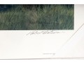Robert Bateman And Carl Brenders Signed Lithographs Depicting Swans