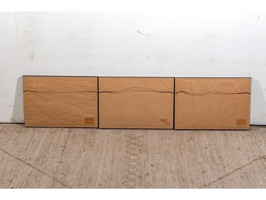 Set Of Three Gilt Framed Restrikes Of Mid 18th Century English Architectural Engravings