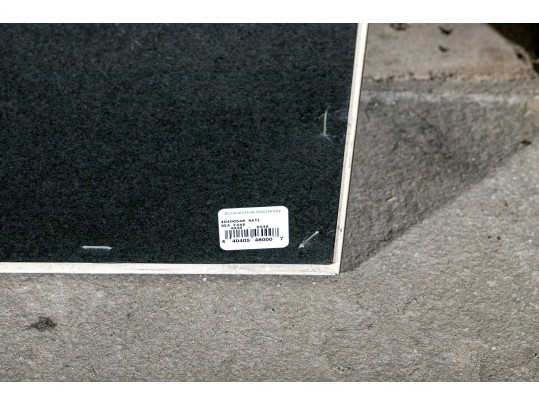 Wonderfully Decorative Framed Coral