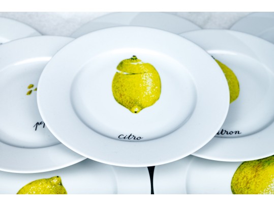 Fabulous 25 Piece French, Limoges Porcelain De Sologne Dishes