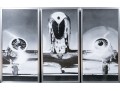 Restoration Hardware Tryptich, Set Of Three Decorative Airplane Prints