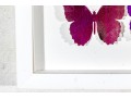 Dawn Michelle Wolfe (American [CA], 20th C.) Mixed Media Butterfly Collage