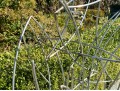 Contemporary Metal Sculpture