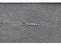 Traditions Strand Faux Shagreen Writing Desk