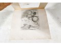 Salvador Dali (France/Spain, 1904-1989) Etching, 