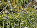 Contemporary Metal Sculpture