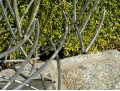 Contemporary Metal Sculpture
