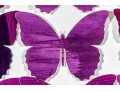 Dawn Michelle Wolfe (American [CA], 20th C.) Mixed Media Butterfly Collage