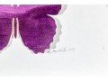 Dawn Michelle Wolfe (American [CA], 20th C.) Mixed Media Butterfly Collage