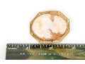 14k Yellow Gold Striking Vintage Filigree Framed Cameo Brooch/pendant