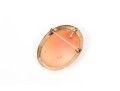 14k Yellow Gold Attractive Simply Framed Cameo Brooch/pendant