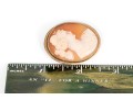 14k Yellow Gold Attractive Simply Framed Cameo Brooch/pendant