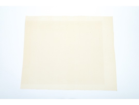 Ariane R. Berman (American, B. 1937) 