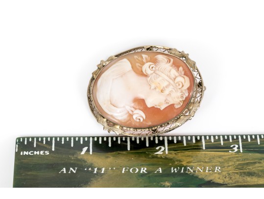 14k White Gold Lovely Filigree Framed Cameo Brooch/pendant