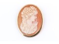 14k Yellow Gold Pretty Ornate Cameo Brooch/pendant, Simply Framed