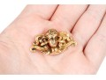 14k Yellow Gold Beautiful Classic Art Nouveau Figural Brooch, With Watch Hook