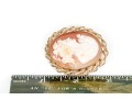 10k Yellow Gold Beautiful Vintage Seed Pearl And Spiral Framed Cameo Brooch