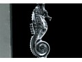 Waterford Crystal Seahorse Candlestick, Boxed