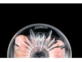 Group Of Five Pieces Waterford Crystal Stemware- Grafton Street And Lismore