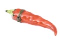 Hand Painted Porcelain Limoges Box, Chili Pepper Form