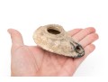 Ancient Roman Terracotta Oil Lamp