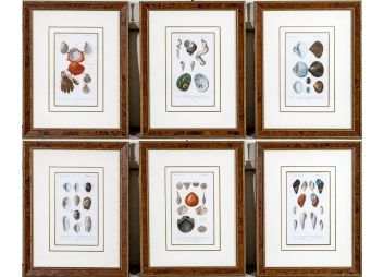 Black Rock Galleries