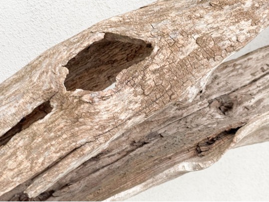 Sculpturesque Hanging Driftwood