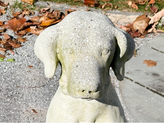 A Beautiful Vintage Cast Cement Sitting Retriever 