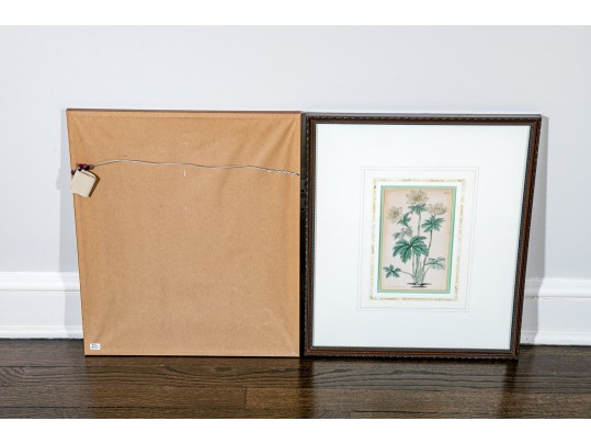 Two Framed Antique Botanical Prints 