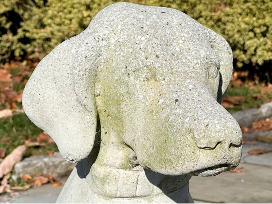 A Beautiful Vintage Cast Cement Sitting Retriever 