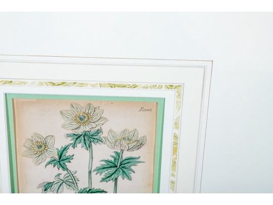 Two Framed Antique Botanical Prints 