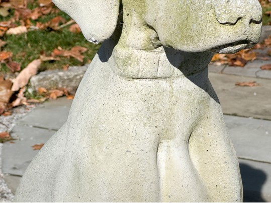 A Beautiful Vintage Cast Cement Sitting Retriever 