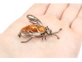 Assorted Lot Of Sterling And 800 Silver Amber Jewelry Pieces, Including A Cuff Bracelet