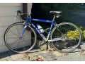 Blue Logo907 RC 5AL Bicycle