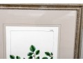 Gilt Framed Botanical Color Print
