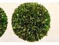 Pair Of Faux Boxwood Topiaries In Pots