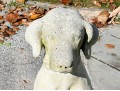 A Beautiful Vintage Cast Cement Sitting Retriever 