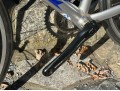 Blue Logo907 RC 5AL Bicycle