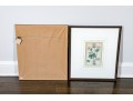 Two Framed Antique Botanical Prints 