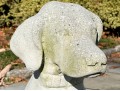 A Beautiful Vintage Cast Cement Sitting Retriever 