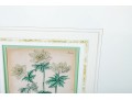 Two Framed Antique Botanical Prints 