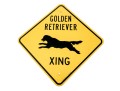 Vintage Golden Retriever Crossing Street Sign