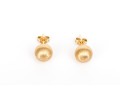 14k Yellow Gold Classic Brushed 7.75 Mm Ball Stud Earrings