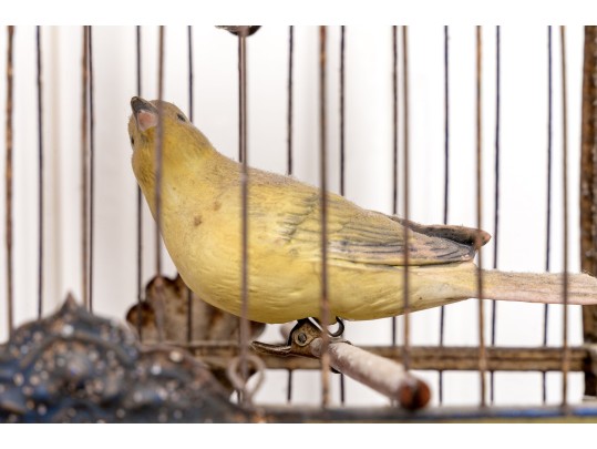Antique Bird Cage