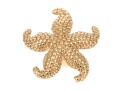 14k Yellow Gold Fun Textured Electroform Starfish Brooch